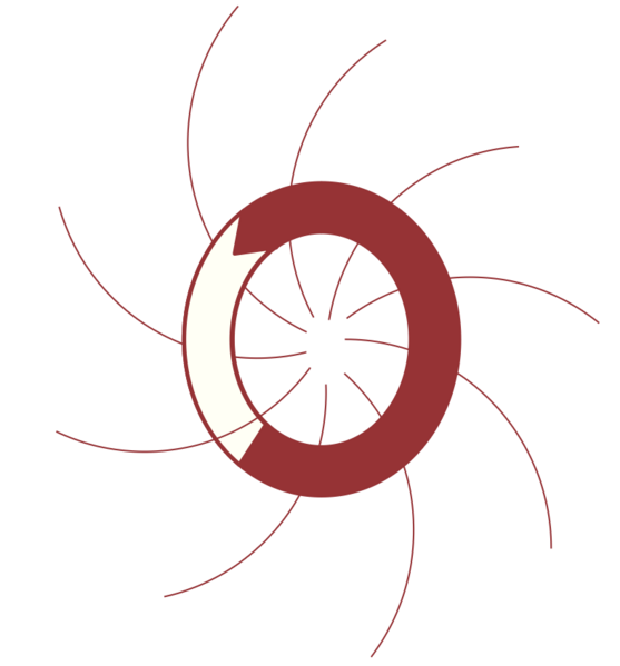 Fichier:Leading Circle .png
