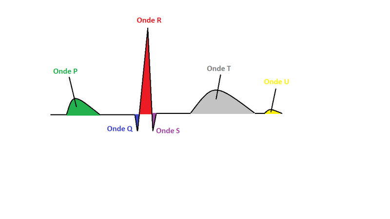 Fichier:Ondes.png