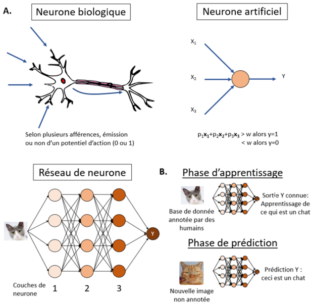 Fichier:Deep learning .png