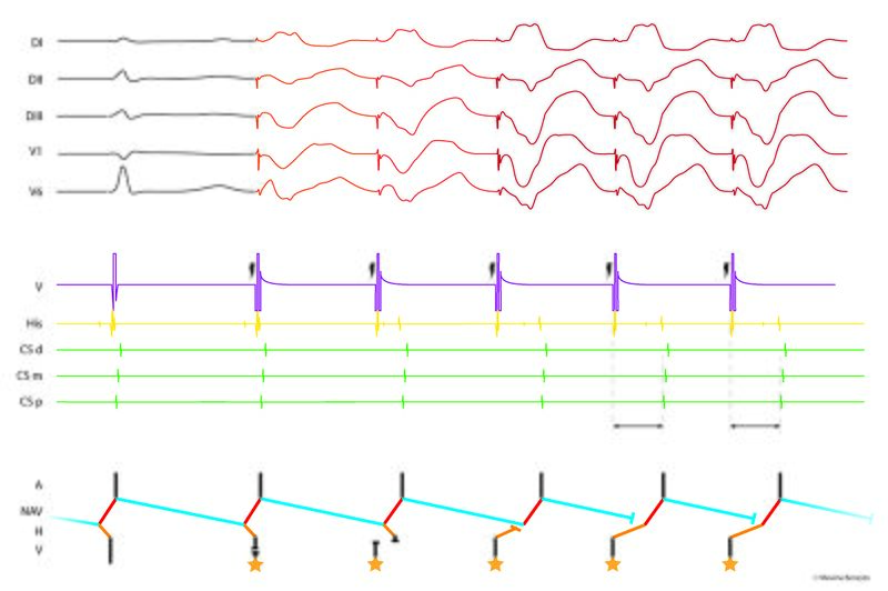 Fichier:Figure 17 - Dandamudi.jpg