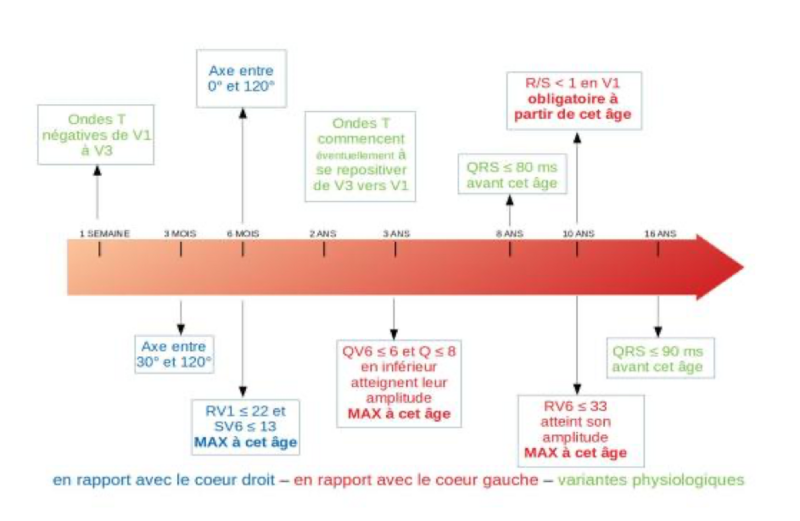 Fichier:Sans titre.png