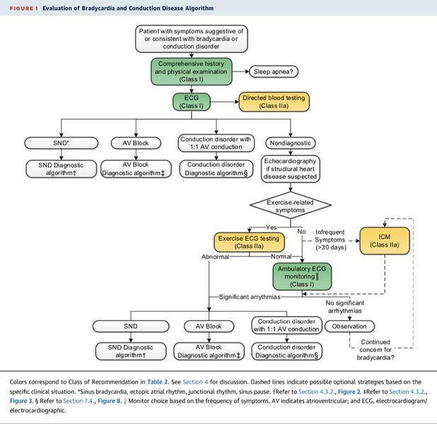 Fichier:Algorithme devant une bradycardie et troubles conductifs, d’après Kusumoto et al. 2018 Bradycardia Guideline. .jpg